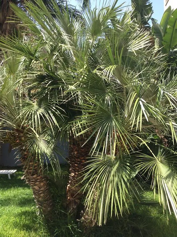 Ucciardhome Hotel Palermo Italien